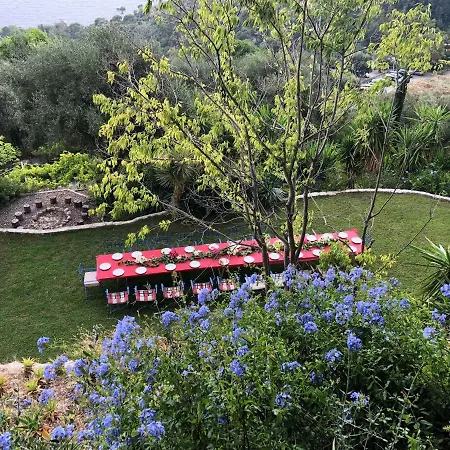 The Orangerie Apartment